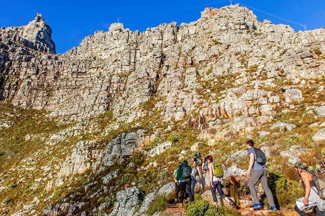 Flashback to climbing Table Mountain in Cape Town, South Africa! We were fortunate to make it all the way to the top which sits 3,563 ft above sea level!
.
Fun fact: There are an estimated 2,200 species of plants on the mountain, many of which are en