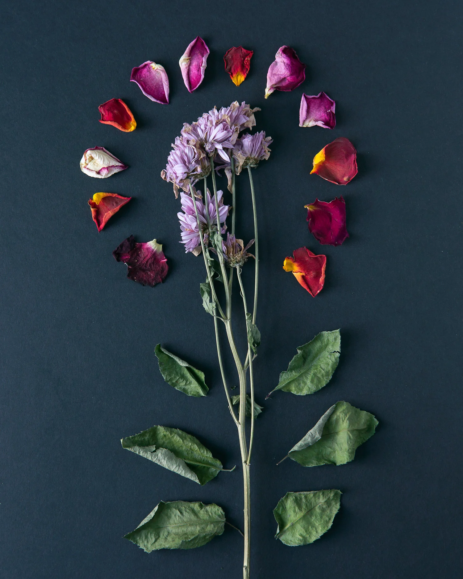 012916_Flowers2.jpg