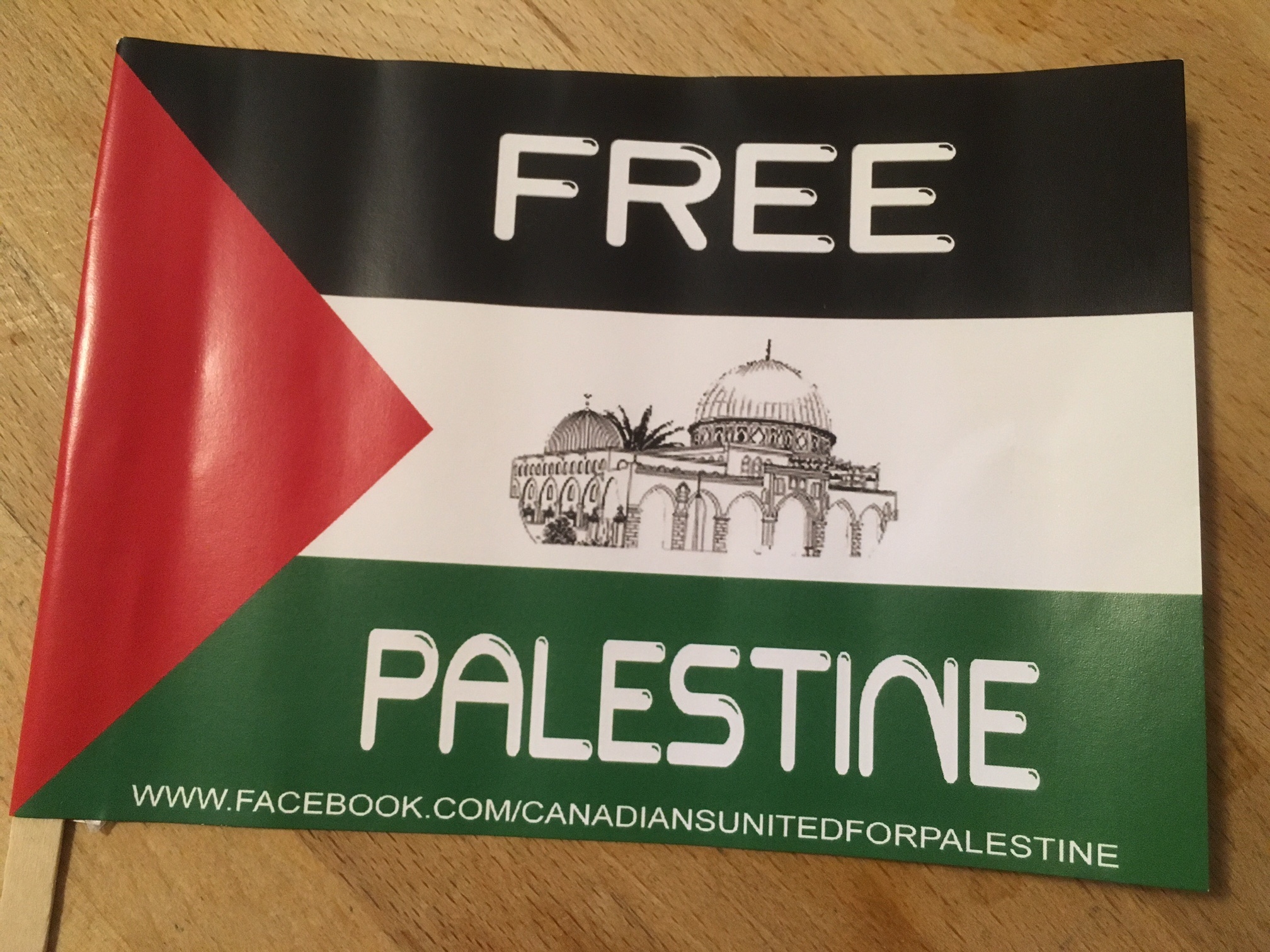 Free Palestine Flag.JPG