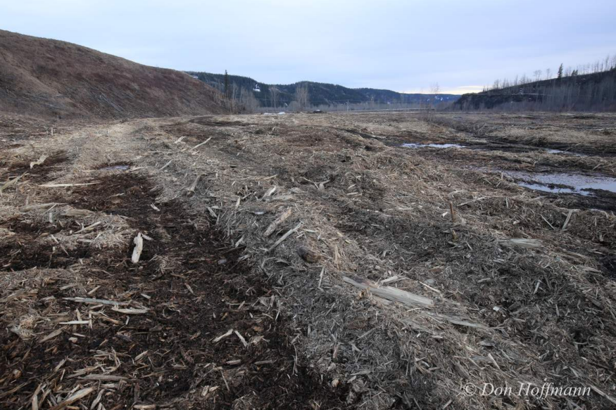 Fight site C - photo4.png