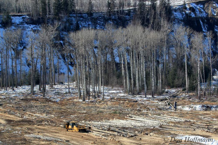 Fight site C - photo3.png