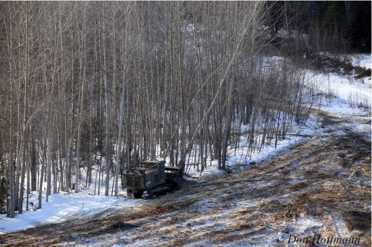 Fight site C - photo.png