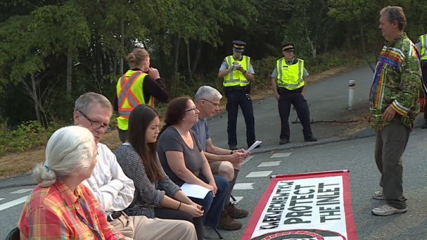 Doctor organized protest - CTV News - Aug 20 2018.png