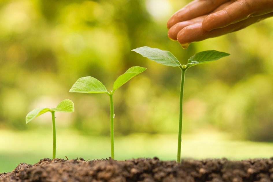 Staff 360 Agribusiness Recruitment Latest Jobs