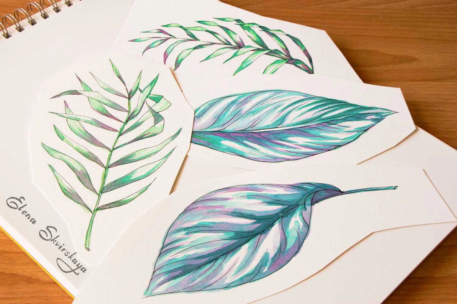 palm leaves, tropical leaves, watercolor on paper, sketches for a surface print design