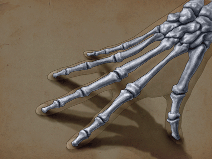 Hand-anatomy Digital Illustration, Skalpell Books, 2015
