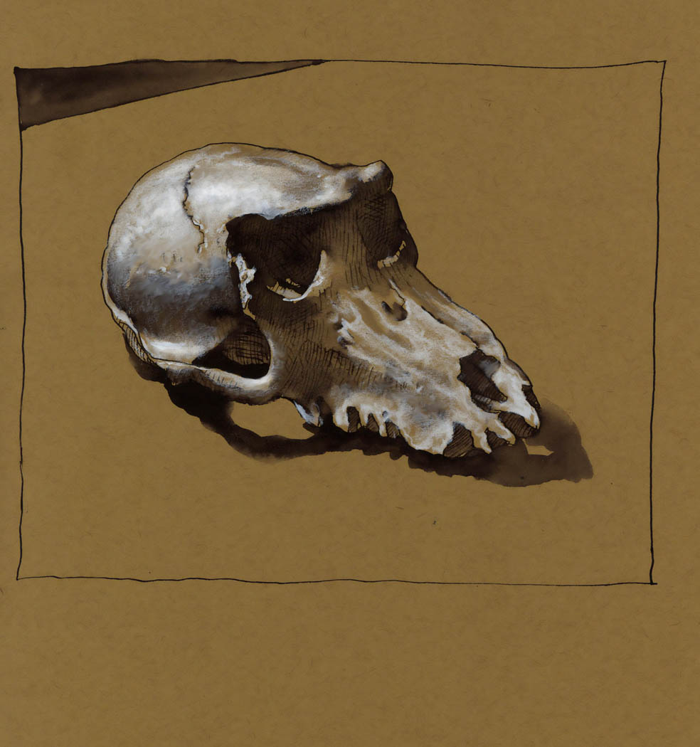 SKULL