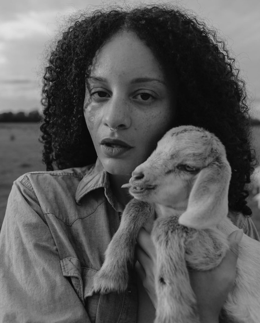 Chardonnay the Goat is a born superstar!  As a baby, she was photographed by the extraordinary Hannah Spencer in a gorgeous photo shoot at the farm.  Now almost a year old, Chardonnay recently lent her talents to a video on veterinary care of goats. 