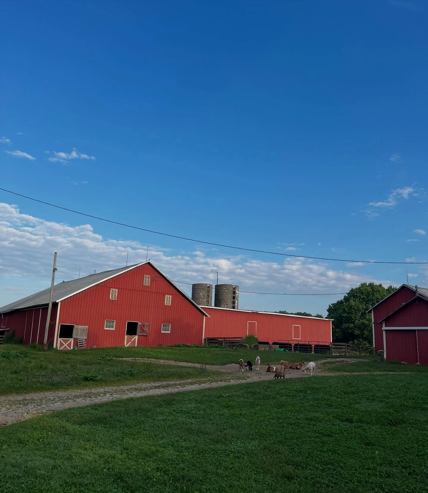 It is going to be a beautiful weekend on the farm!  The goats would love for you to be a part of it! 🌞🐐🌸

Goat Yoga returns to Harrison Farm on Sunday morning.  Our 9:30 class with @dana__bernstein is full, but we have a few spots still available 