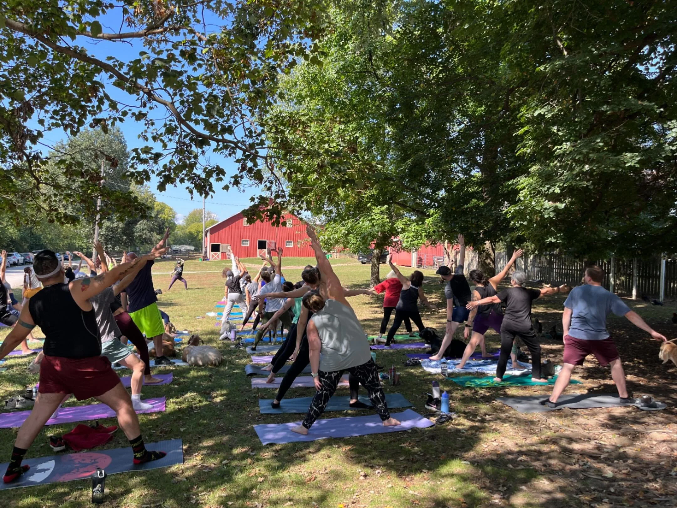 Thank you to everyone who turned out for our final public Goat Yoga date of Season #10!  It meant a great deal to me to see so many friends at yoga.  And the support was a significant help to the farm during a challenging time.  We have one last priv