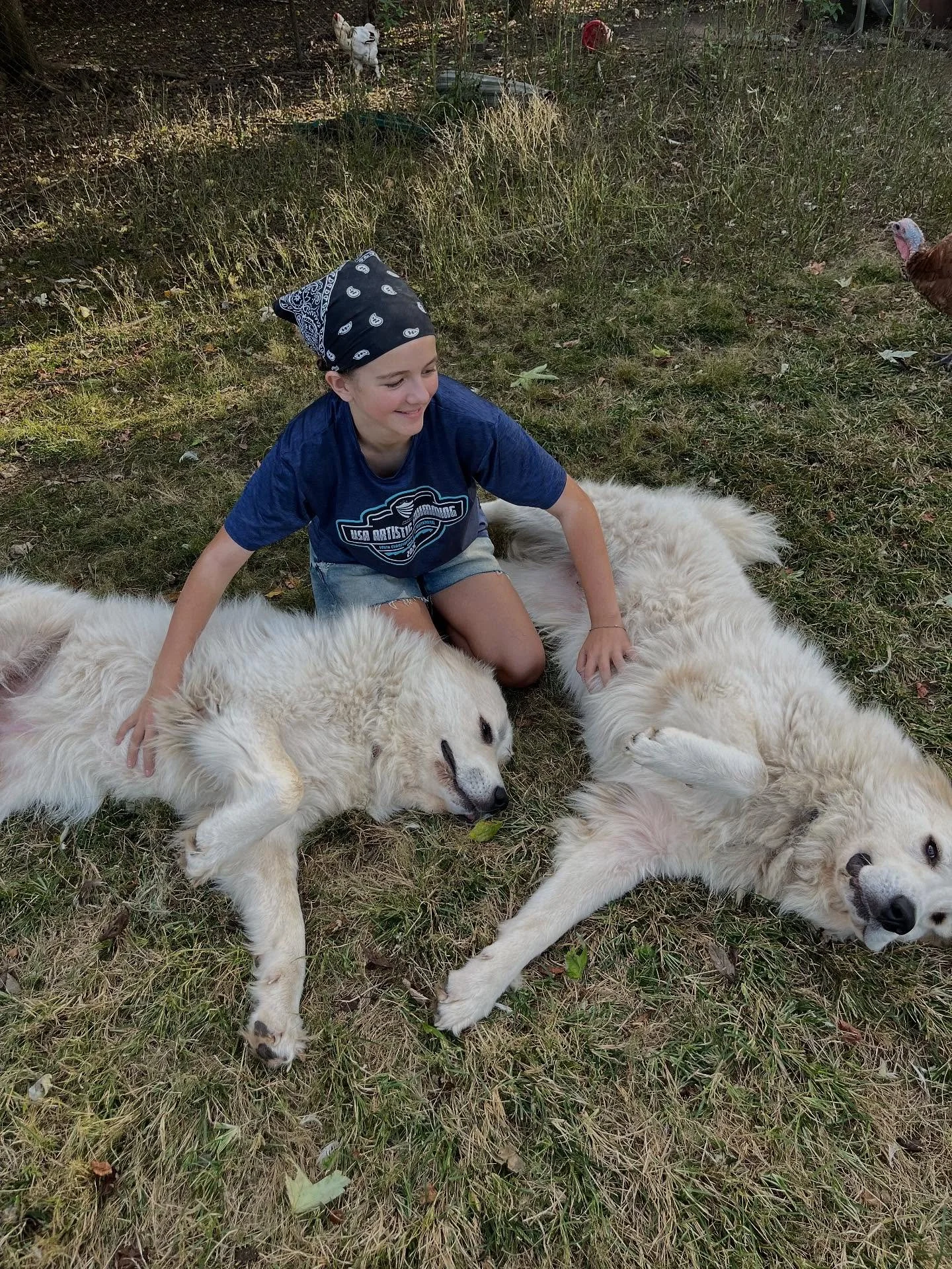 Happy 2nd Birthday to Agrippina &amp; Boudicca!  These warrior queens are much loved. 🐶🐶🩷

Two years ago, our beautiful girls were born on the farm of one of my dear friends.  I had been struggling with a very aggressive pack of coyotes that had b