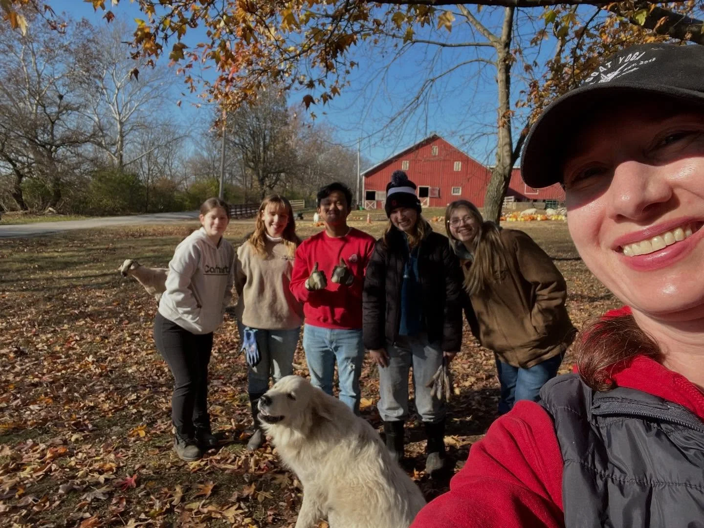 The work we do at Harrison Farm is special, and I am asking for your support to keep our internship program thriving!  As Giving Tuesday approaches and we enjoy the holiday season, please consider supporting Harrison Farm and the @fearlessfemalefarme