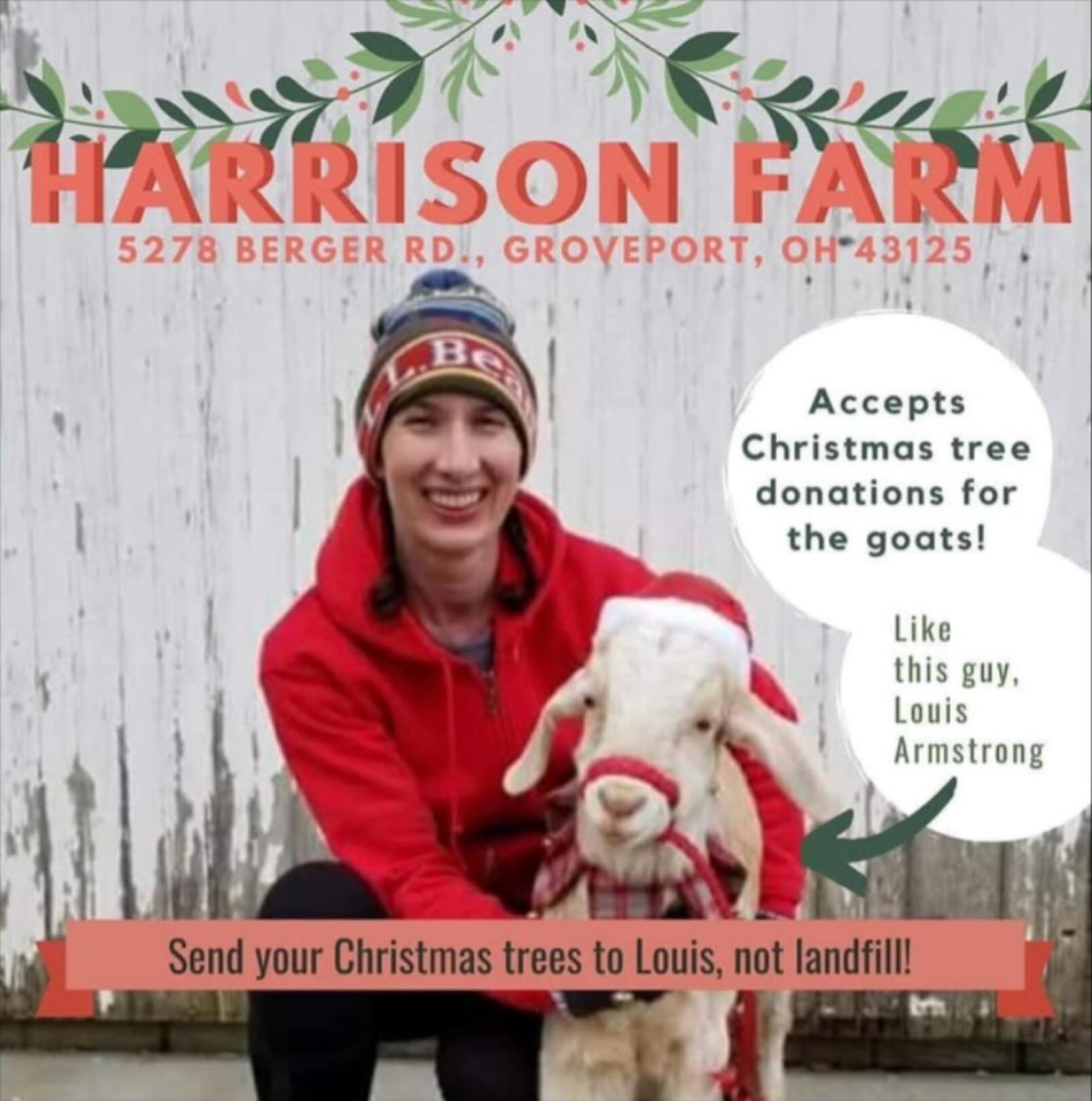 &ldquo;It&rsquo;s the most wonderful time of the year!&rdquo; &mdash; The Goats 🐐❤️🎄

We are gratefully accepting donations of Christmas trees.  The goats LOVE them, and the trees provide nutrition &amp; enrichment for them during the cold of winte