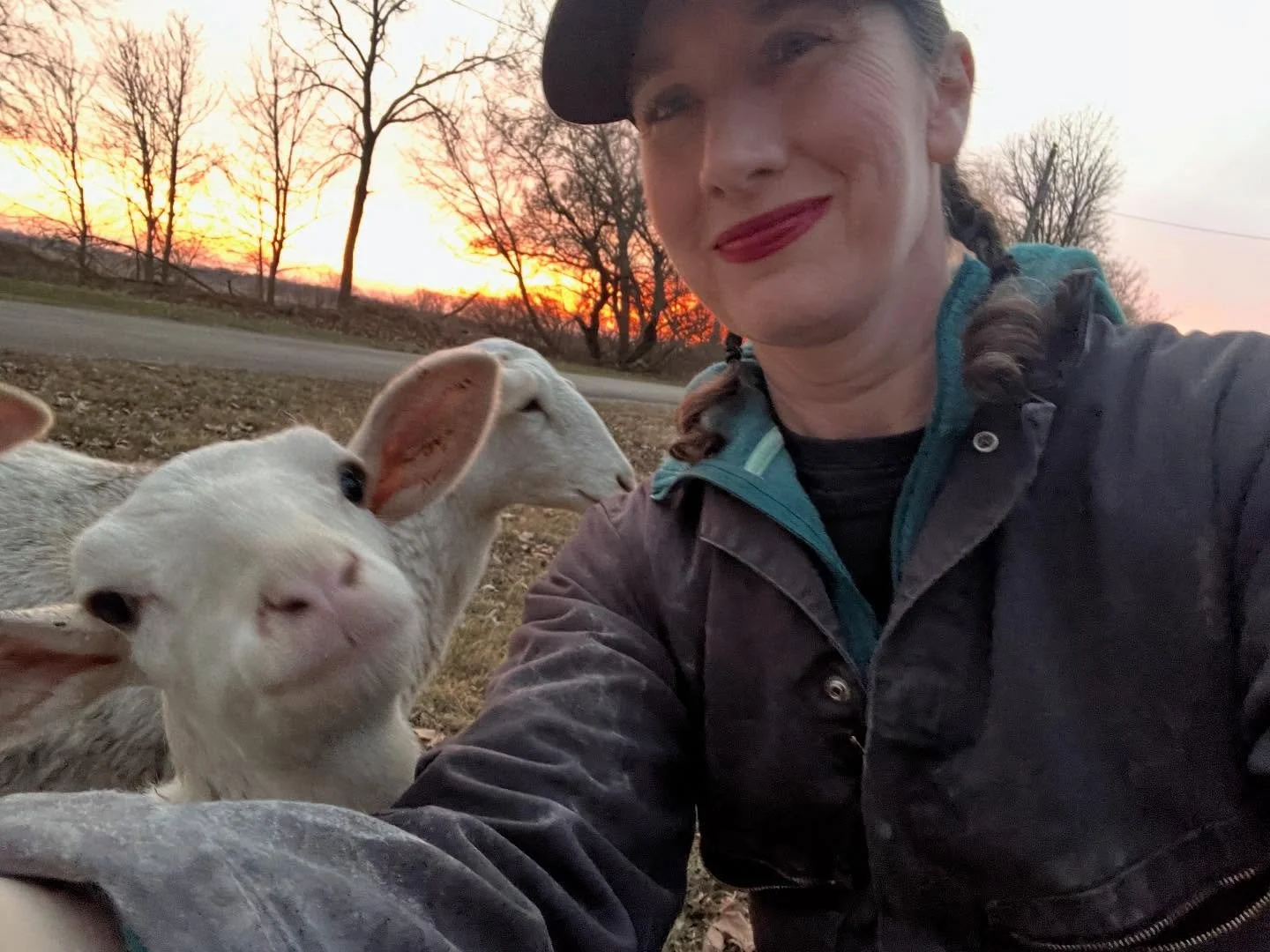 Scenes from a Christmas Day at the Harrison Farm! 🎄🐑🐐🐶🐓

Taking a selfie with animals rarely goes well, but every once in a while there is a gem.  Thanks to Richard, Duke of Gloucester for posing for a Christmas Day photo with me!

We had a stun
