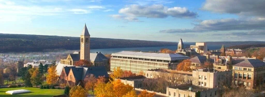 cornell background.jpeg