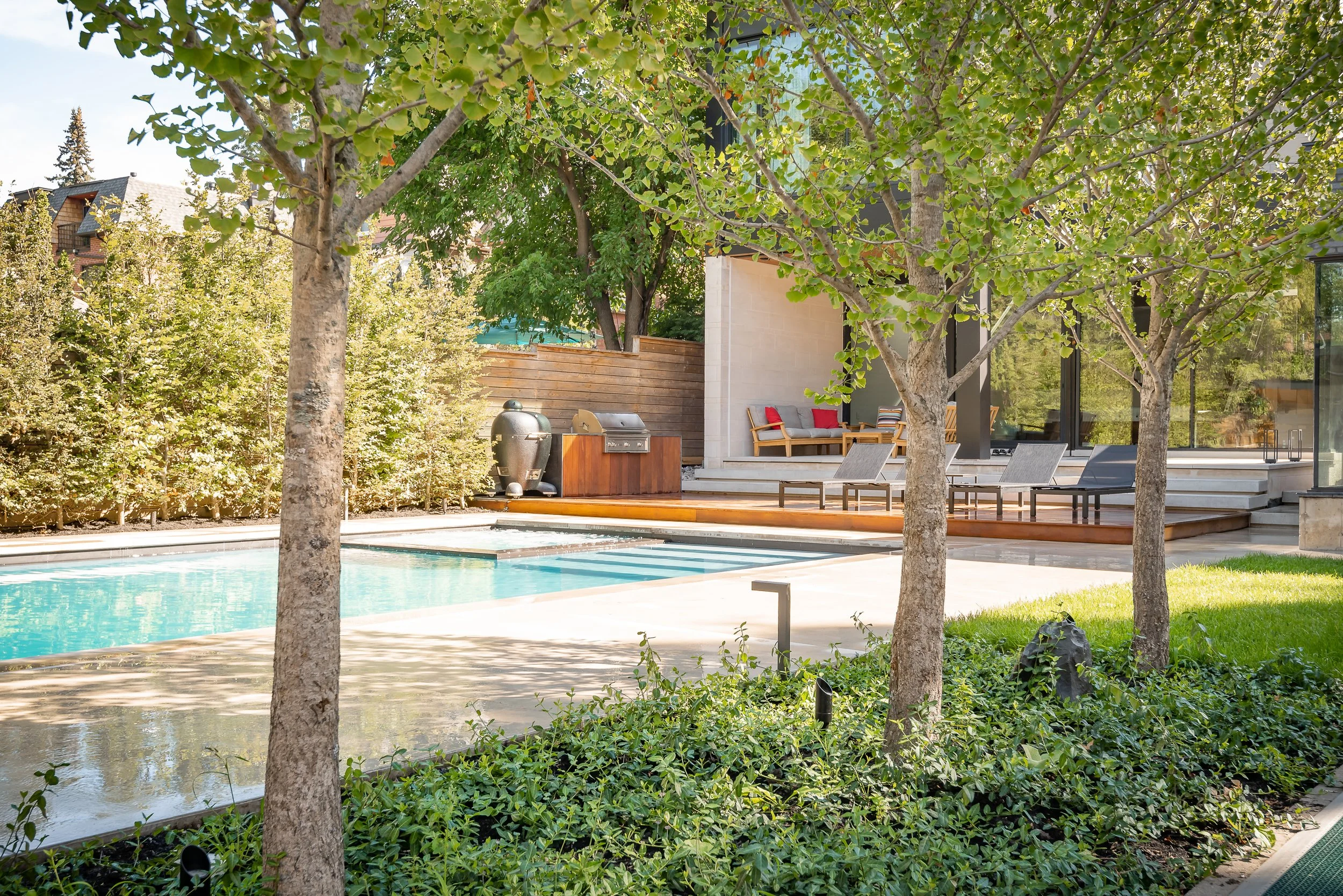 High Park - Garden - BBQ Area, Linden Plane Tree Specimen, Beech Trees, Winter Creeper Ground Cover.jpg