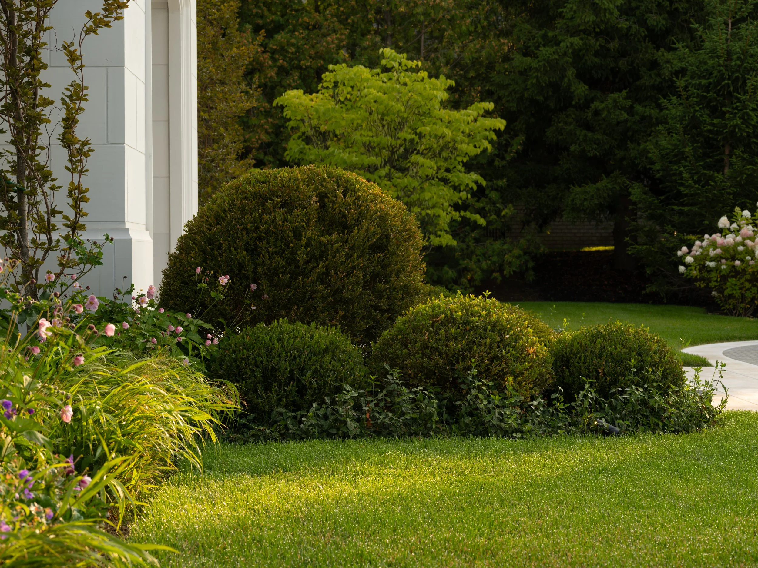 Toronto - Boxwood Balls - Front Entrance Landscaping.jpg