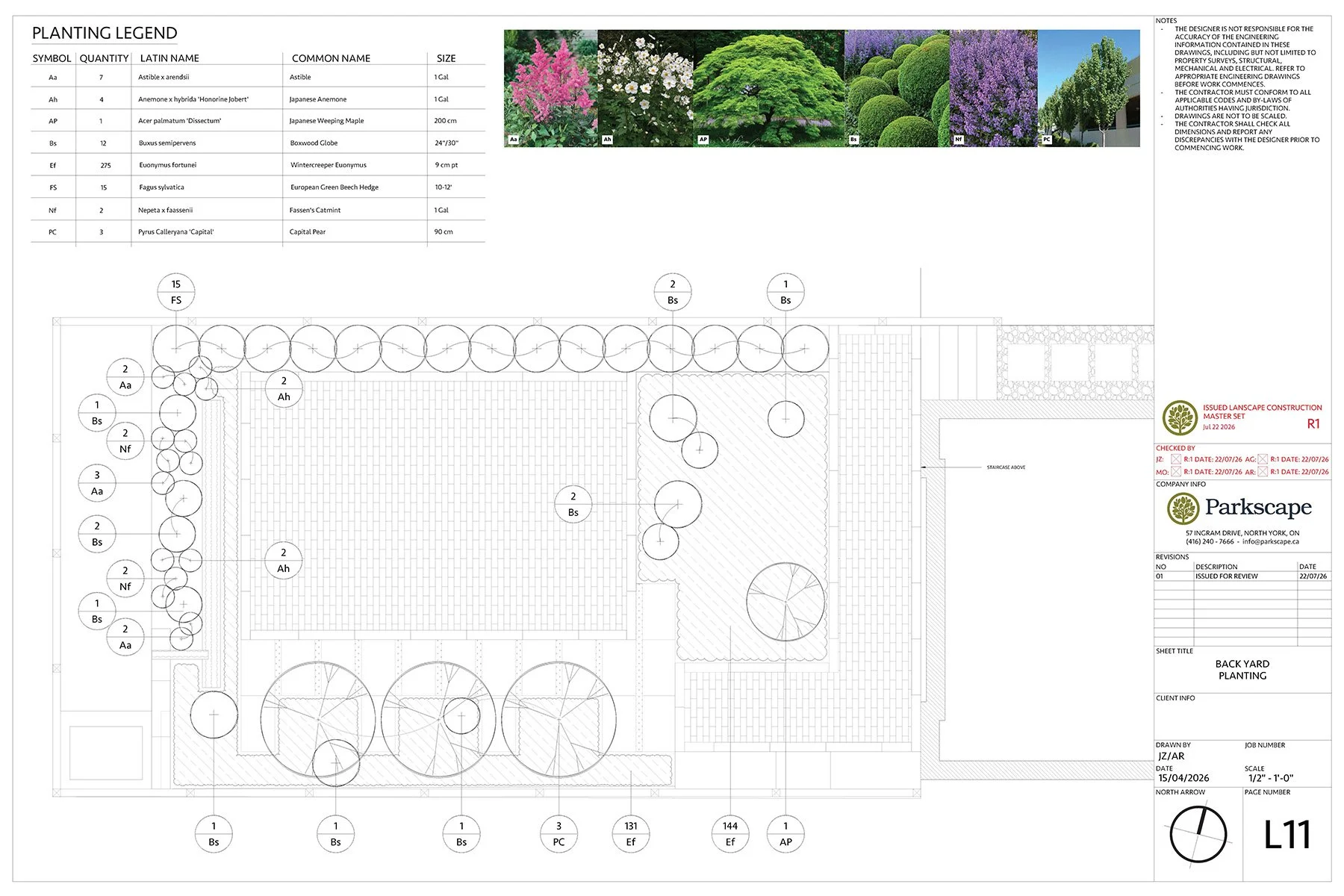 Parkscape_Design-Services_Planting-Back.jpg