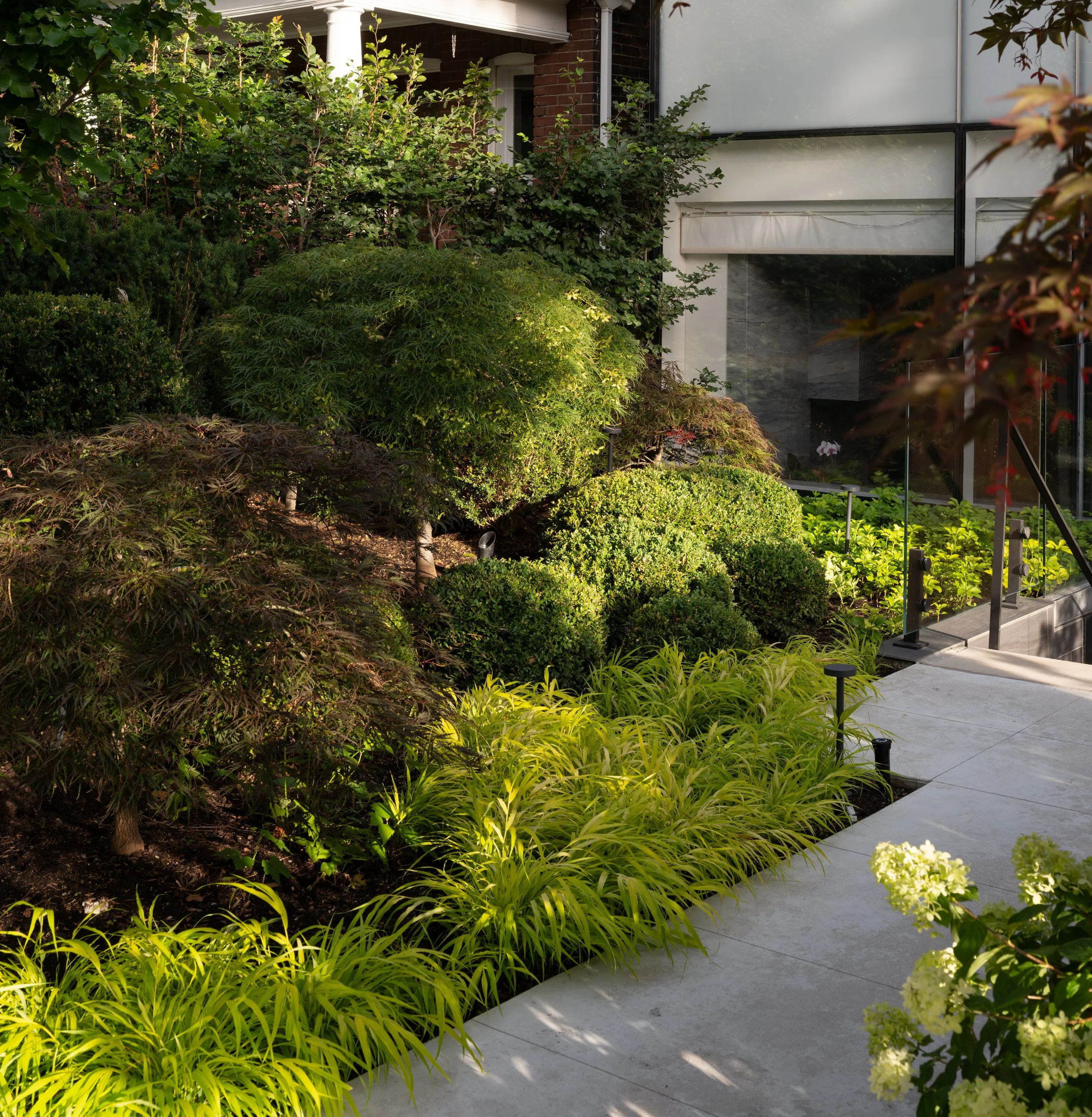 Toronto - Naturalized Garden,.jpg