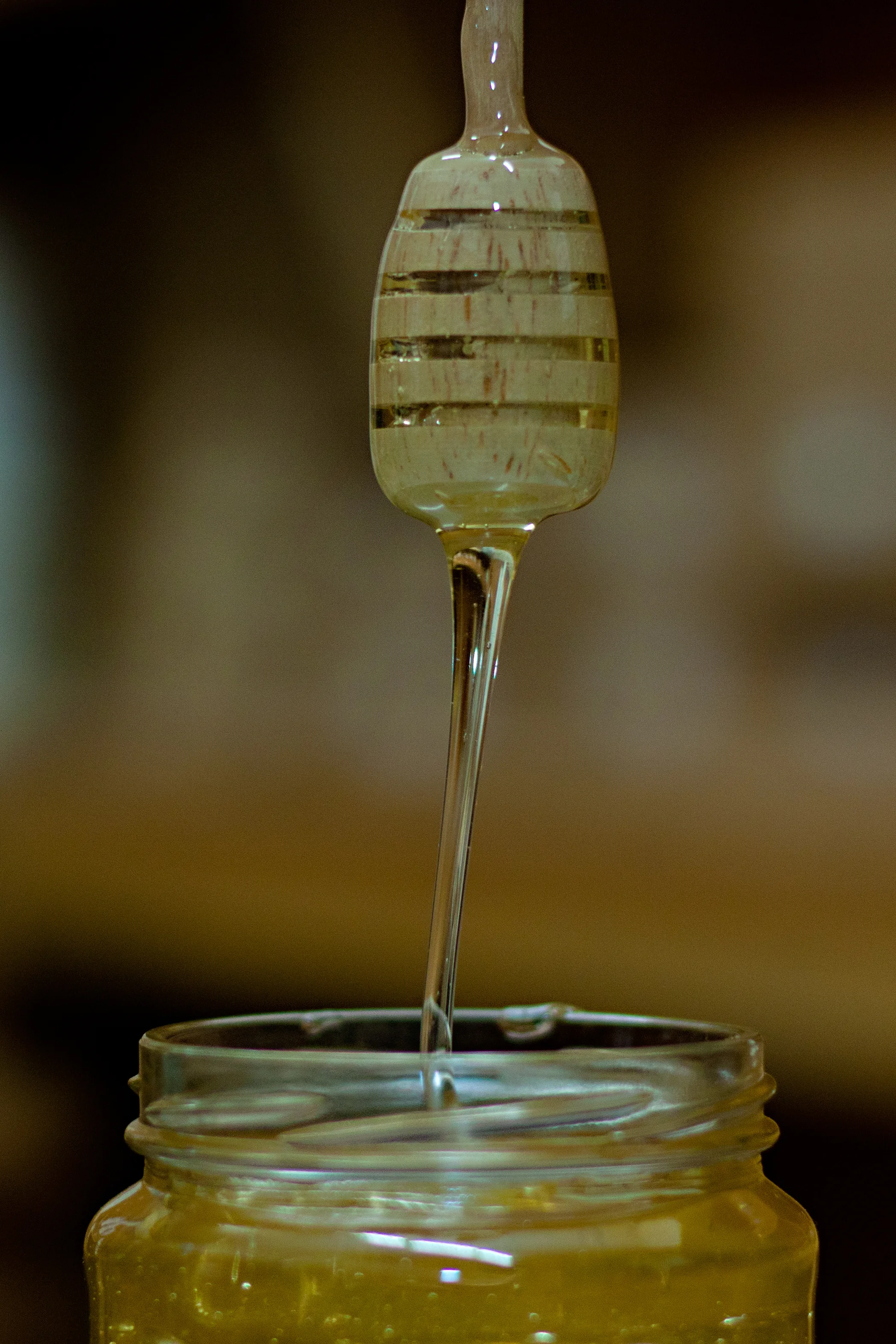 20110112-006-2.jpg