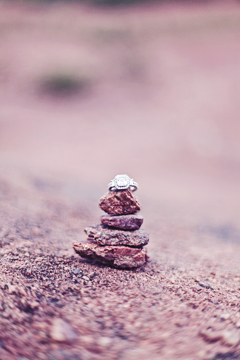MarianneBrownPhotographyEngamentPortraitsDenverColoradoRockyMountains031.JPG