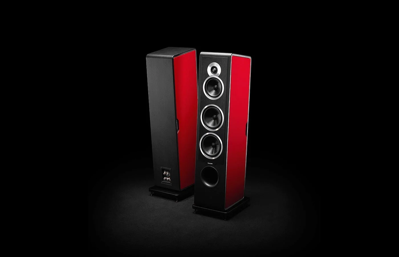 SONUS FABER CHAMELEON T DONG THANH HOA PHUC
