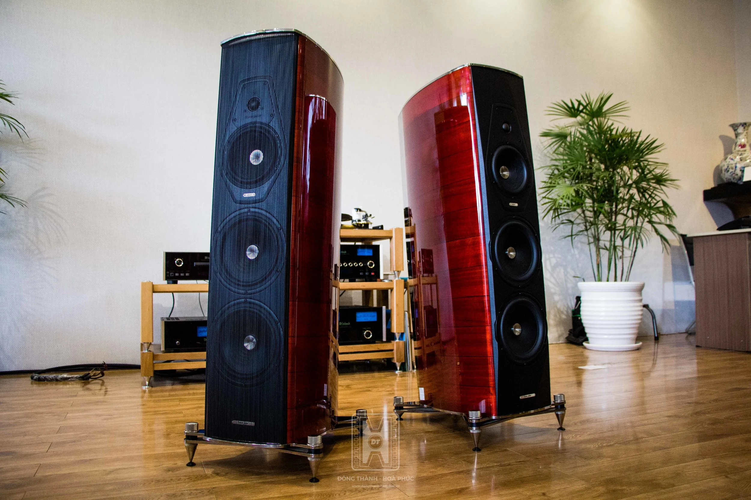 SONUS FABER AMATI FUTURA DONG THANH HOA PHUC