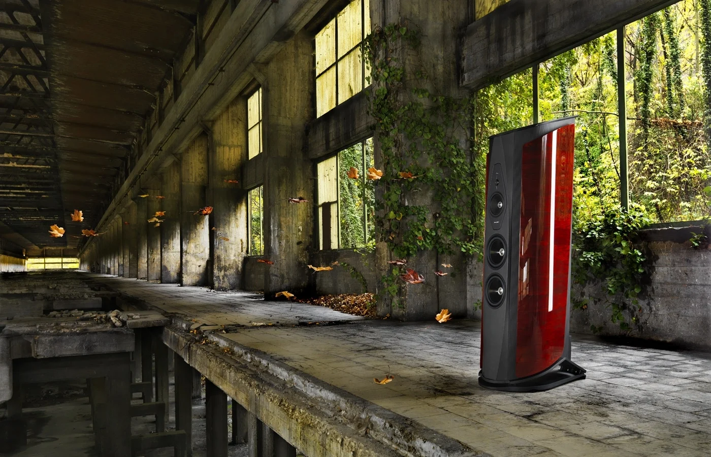 SONUS FABER AIDA DONG THANH HOA PHUC