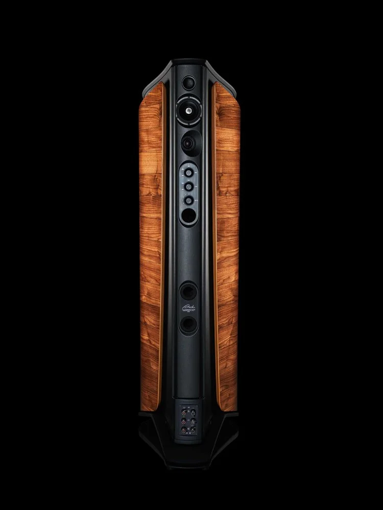 SONUS FABER AIDA DONG THANH HOA PHUC
