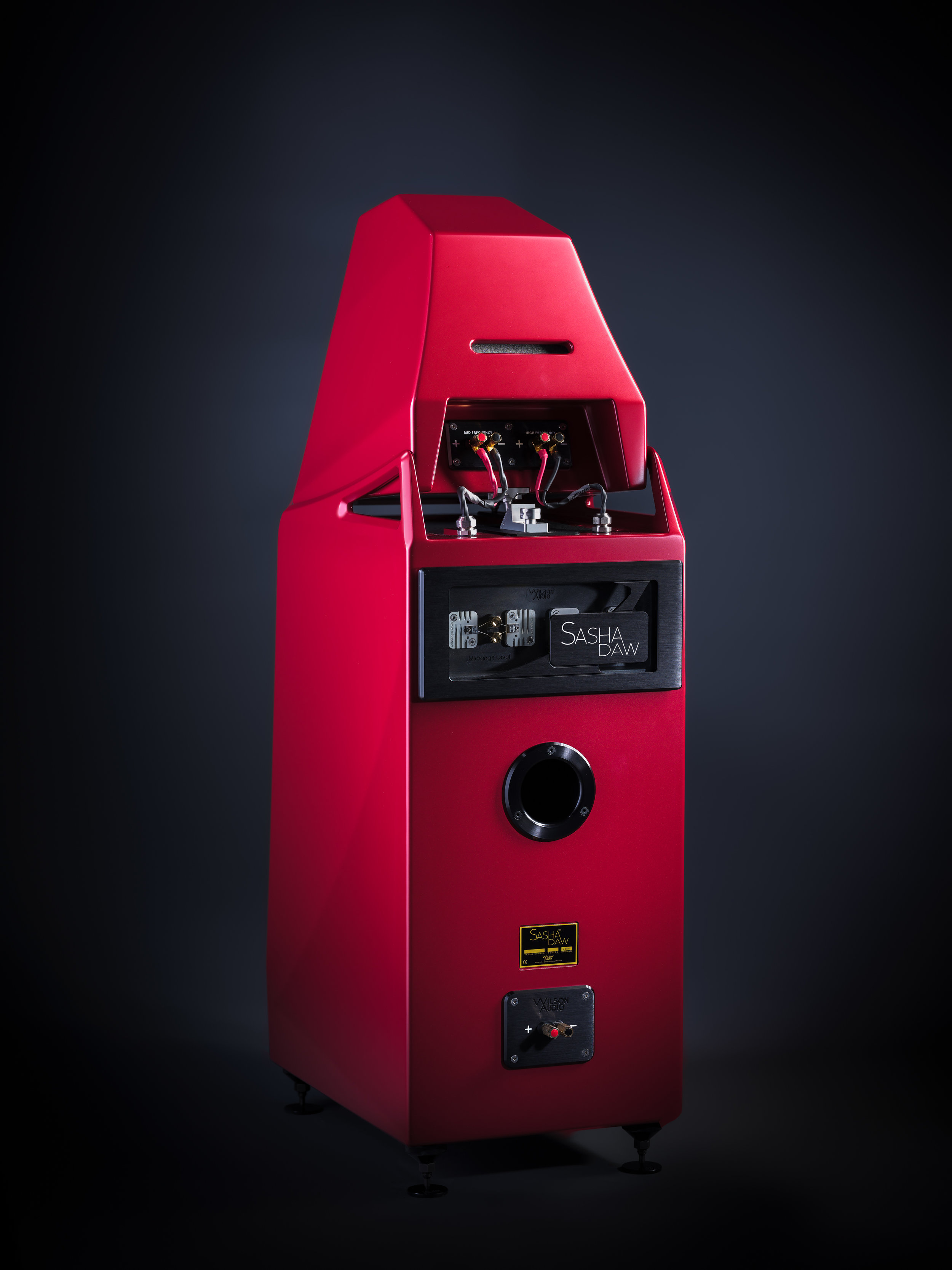 Wilson Sasha DAW Đông Thành - Hòa Phúc12.jpg