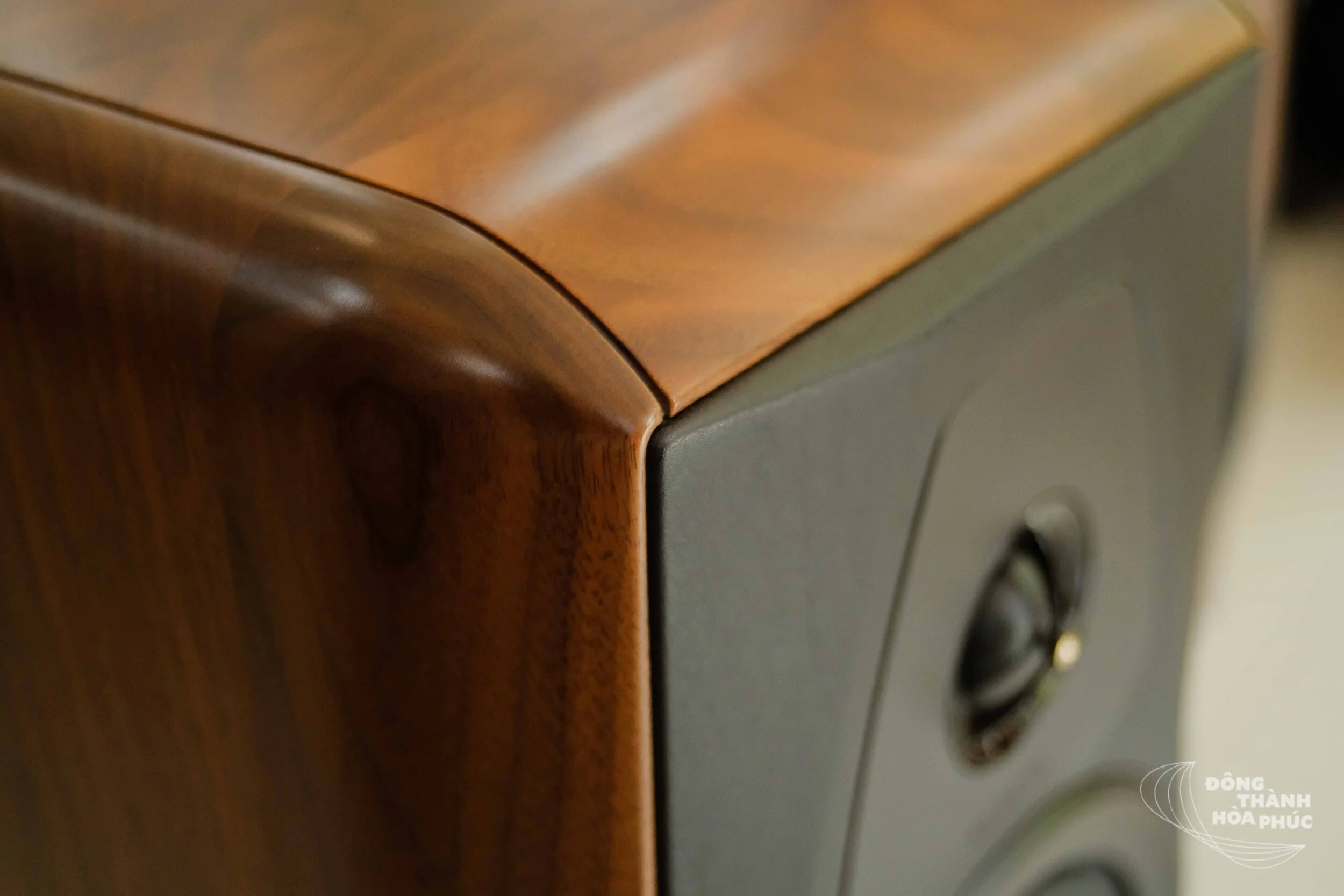 SonusFaber_Electa_Amator_3_Đông_Thành_Hòa_Phúc (10 of 14).jpg