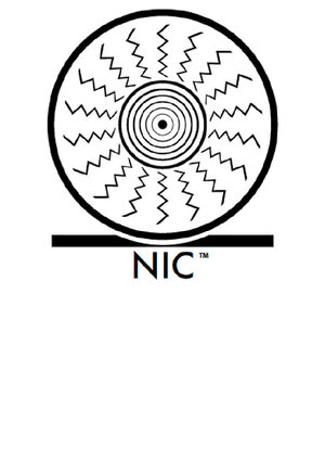NIC-01.jpg