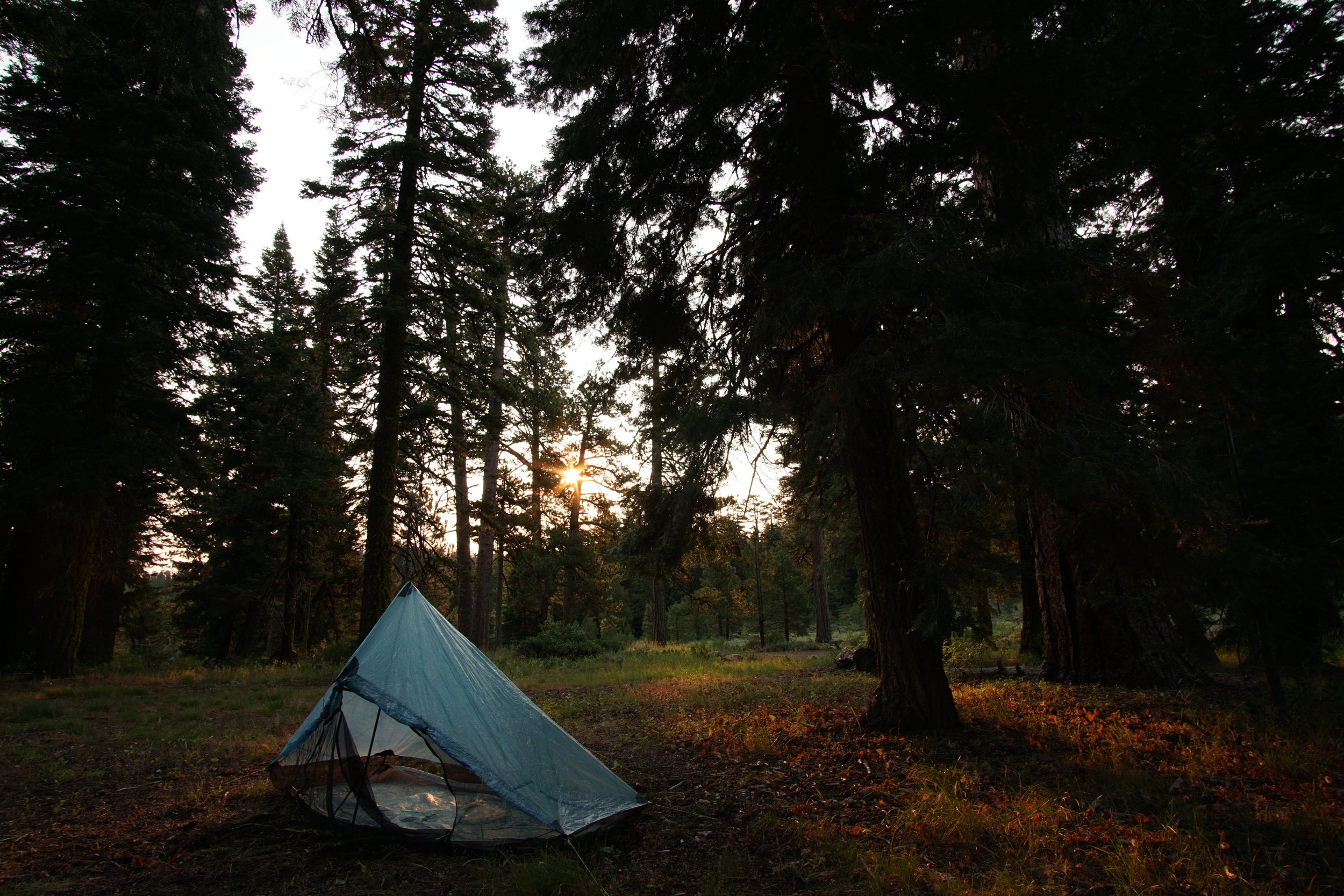 Thank you Failure - Oregon Timber Trail