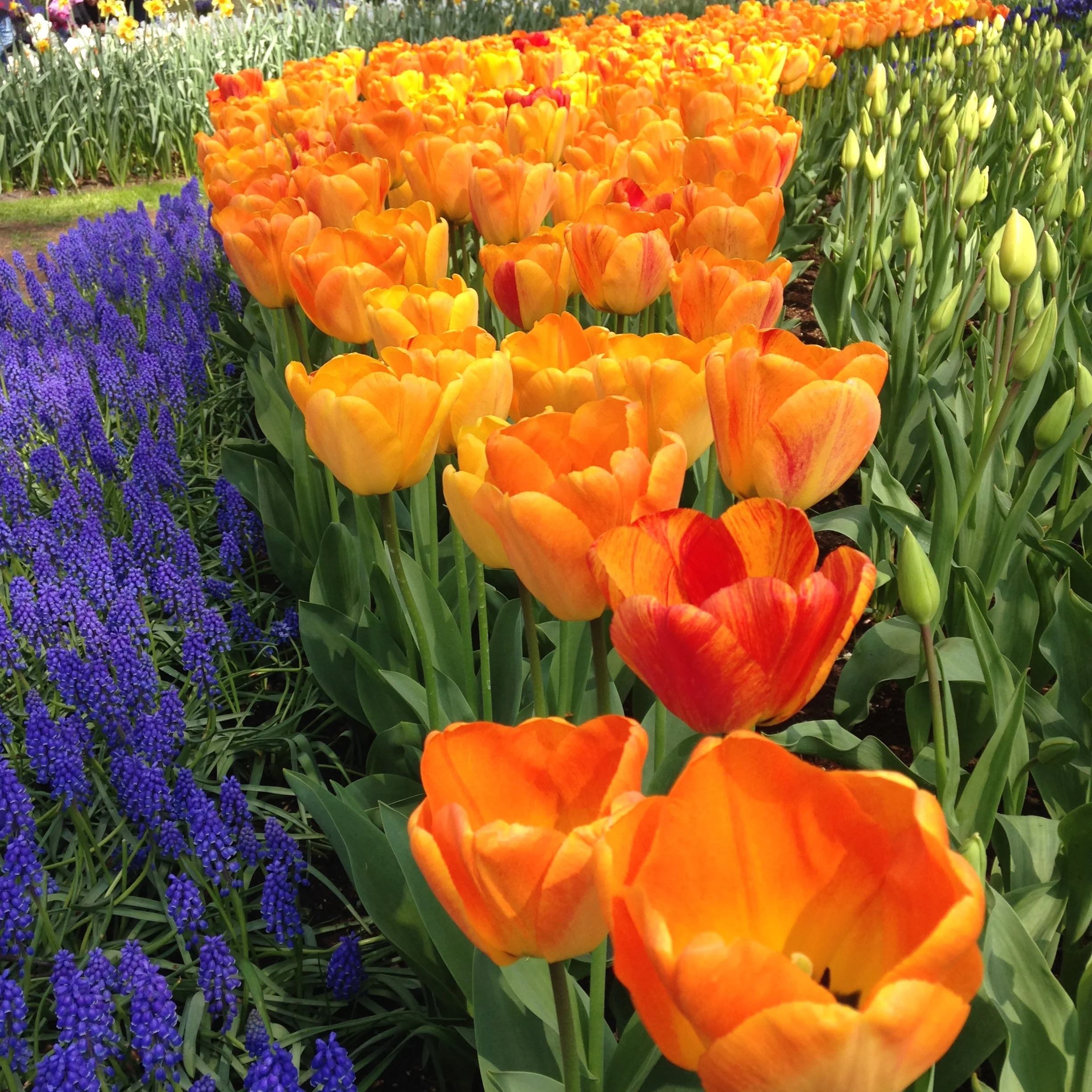 See you at the Electric & Hybrid Marine World Expo