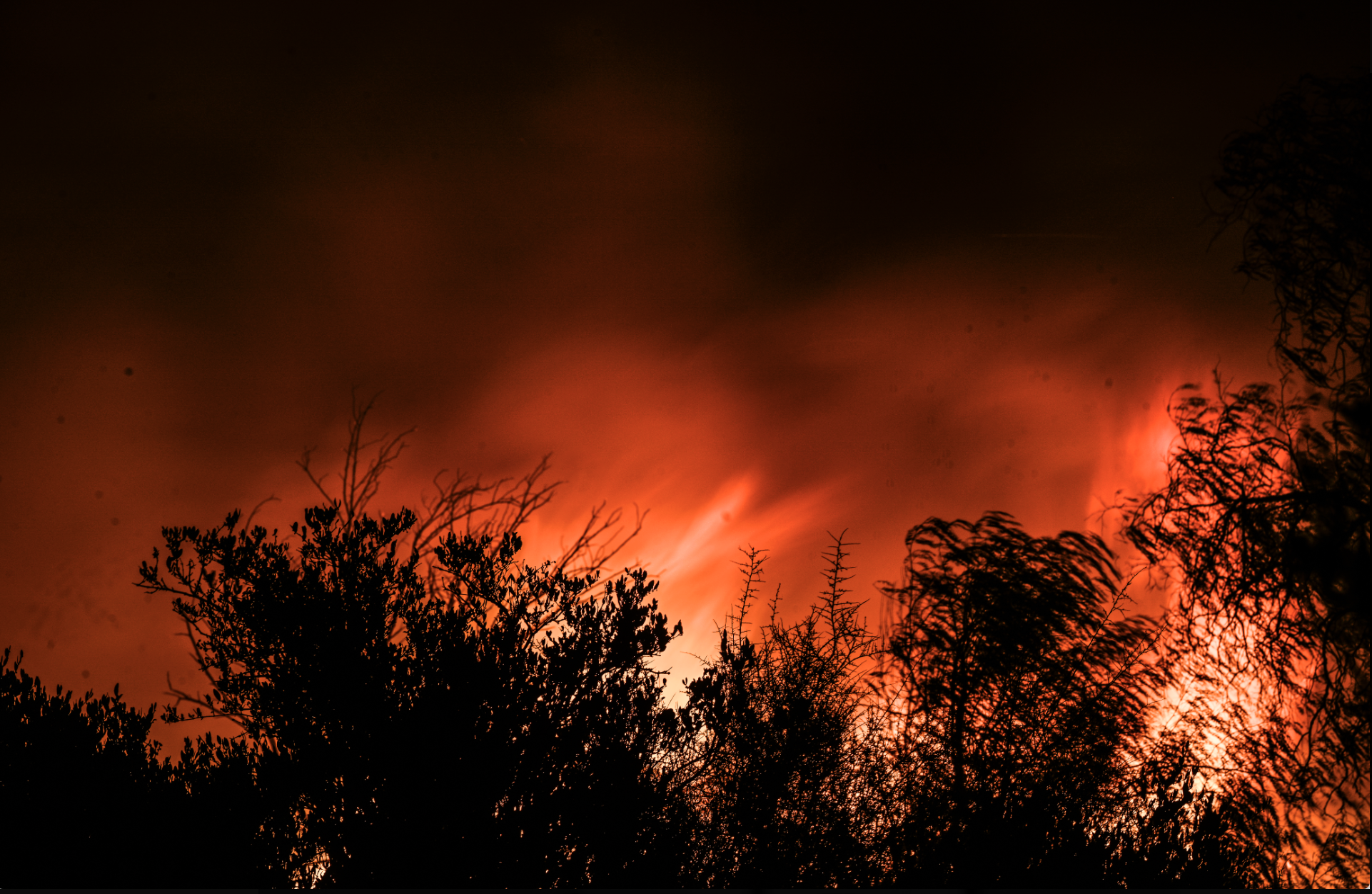 Screenshot 2026-02-26 at 4.37.25 PM.png