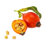 Rosehip.jpg