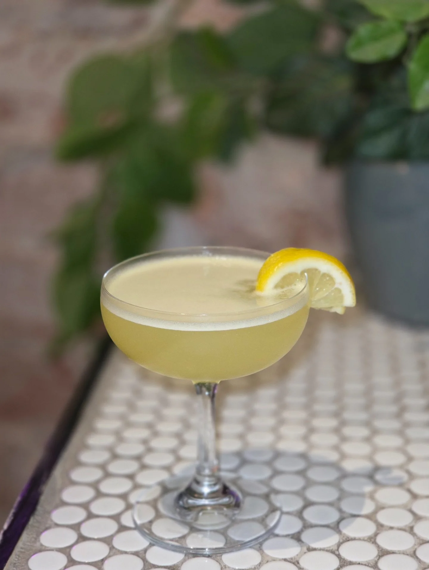 Let us welcome to the stage, our 3 new Japanese inspired cocktails as part of the South West Japan Festival! ๐ธ๐๐ธ @swjapanfest Let us know which one you’re keen to try! ๐ฉท
First on the line up is Yuzu Japanese Spritz ๐๐ฏ -  Be transported t