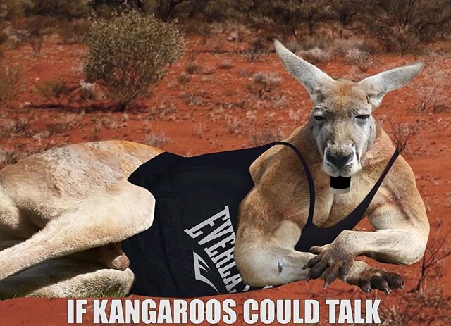 100% this kangaroo is on gear. Check out our short animation up on our channel now!