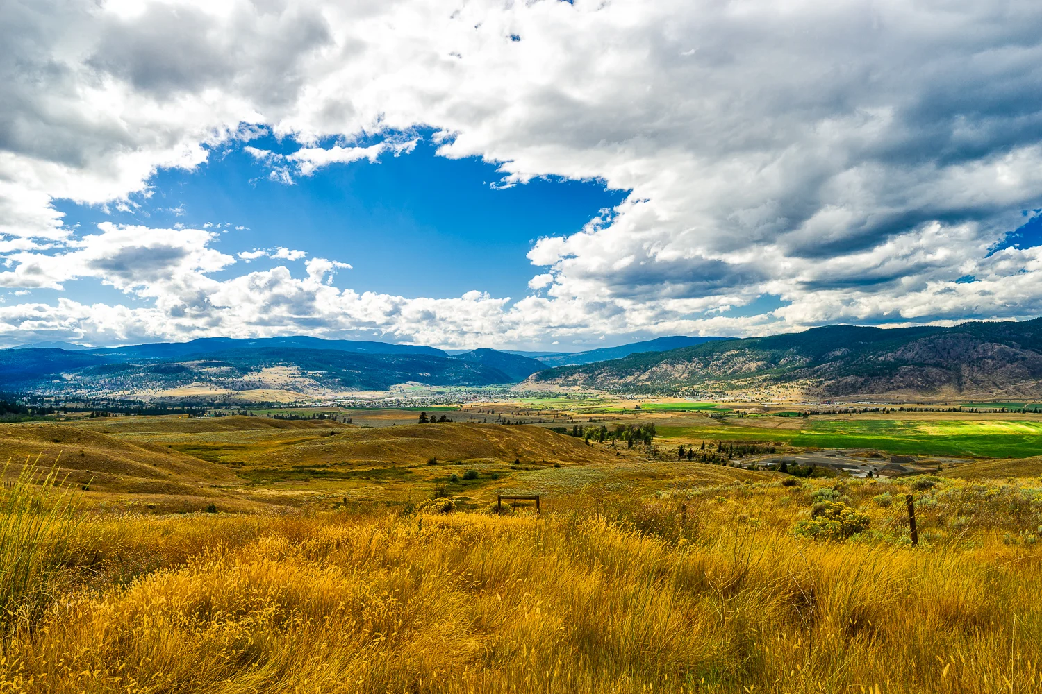 untitled-449-Edit.jpg
