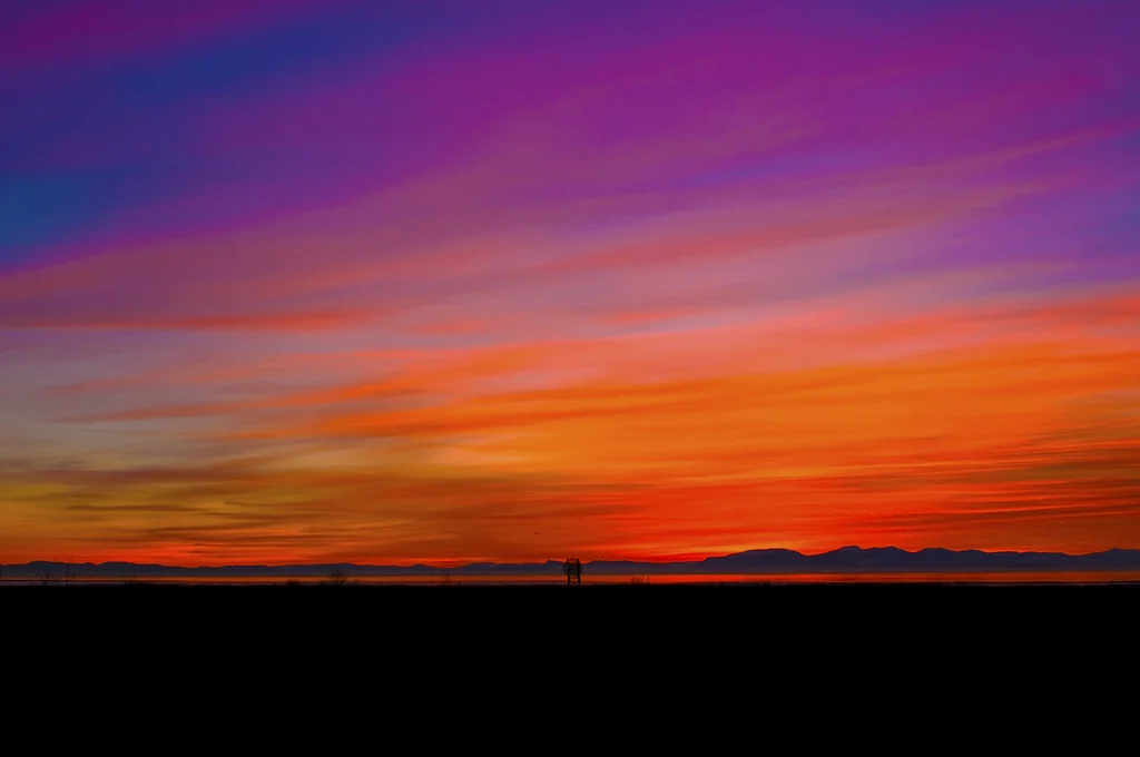 DSC_4761.jpg