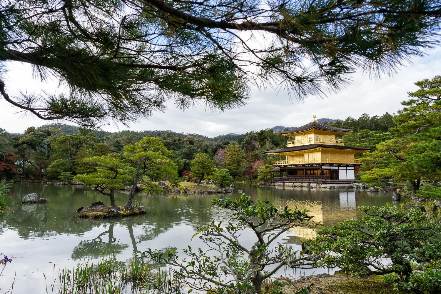 Kyoto Nov., 2017-232-Edit.jpg