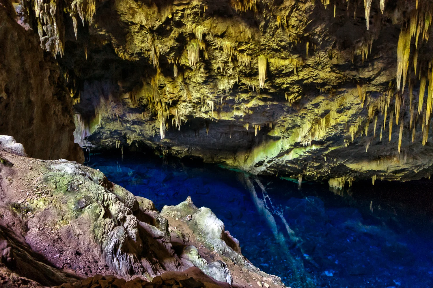 Bonito Nov. 2013-590-Edit.jpg
