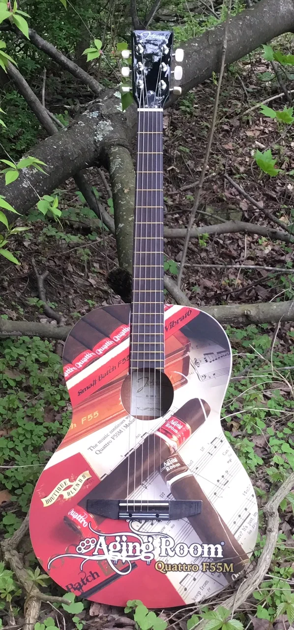 Aging Room guitar.jpg