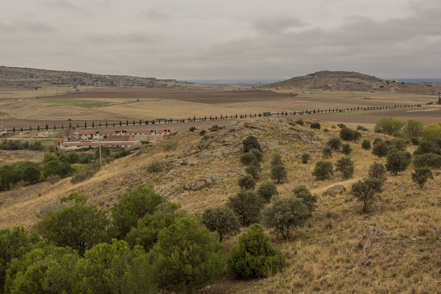  Vista desde Peña Mora con peñas desde donde podemos disfrutar de un cielo de mil colores al atardecer. Además de pinos y encinas del monte hay grabados rupestres. 