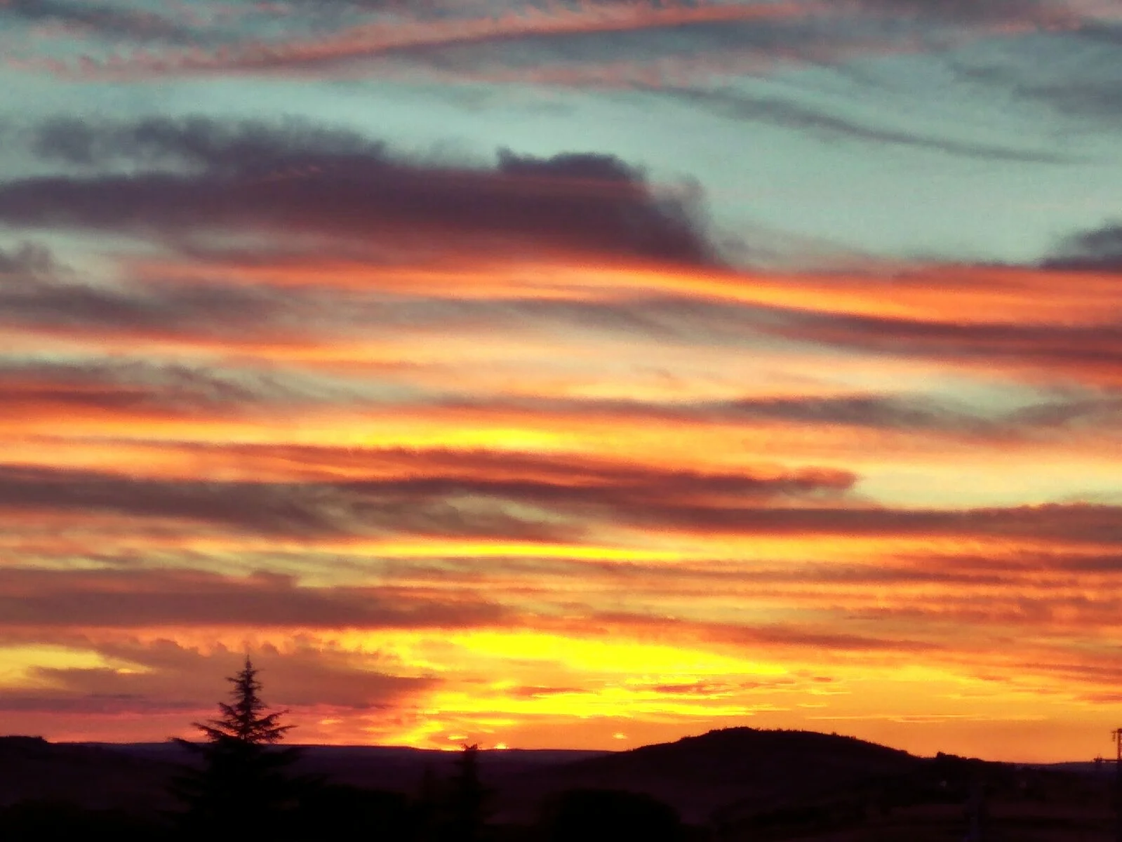 WhatsApp Image 2016-12-07 at 15.44.33.jpeg