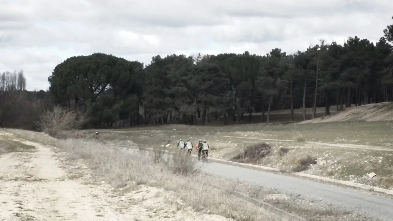 WhatsApp Image 2016-12-07 at 15.49.32.jpeg