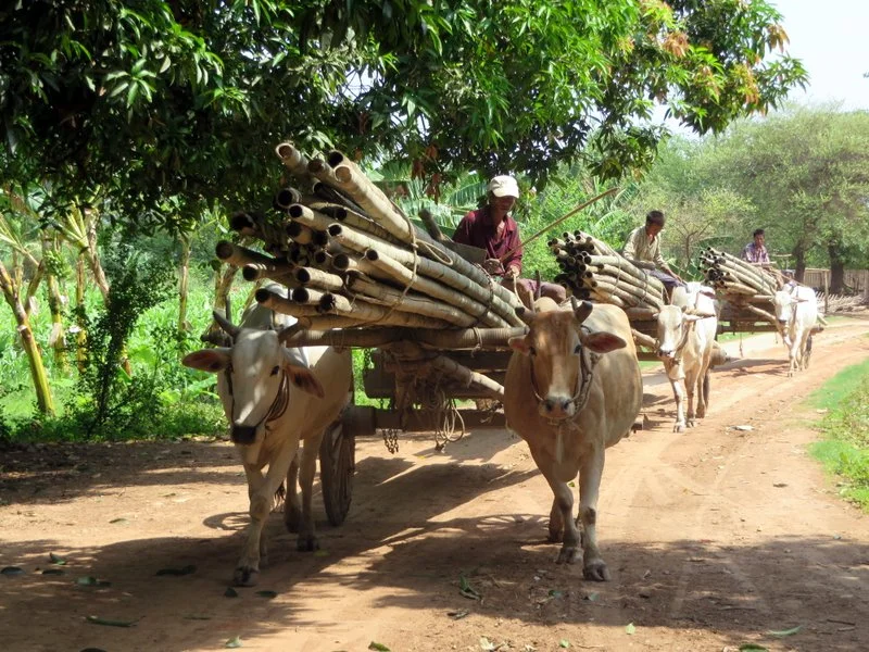 Local traffic jam