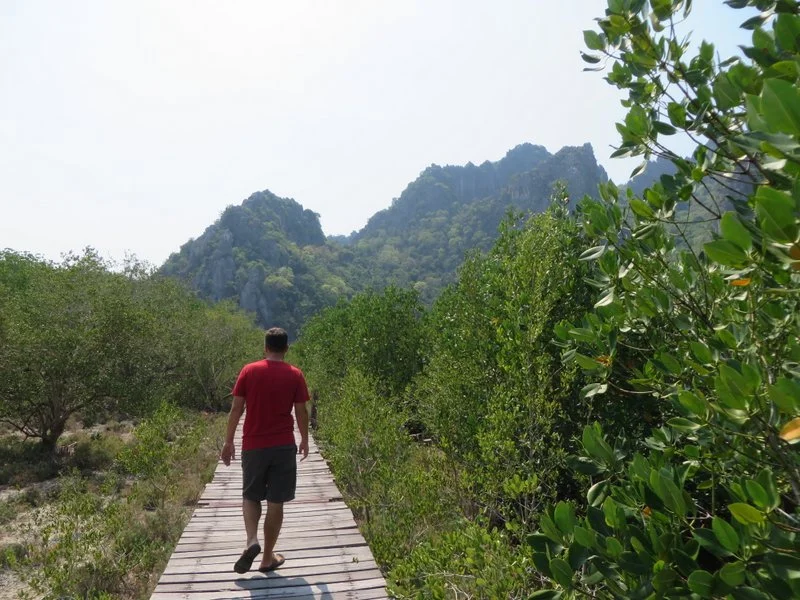 The rickety boardwalk through the mangroves at Sam Roi Yat