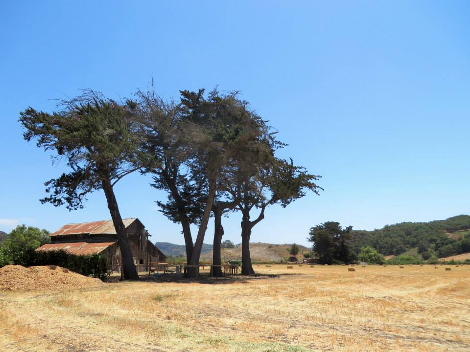 Beautiful Countryside in SLO