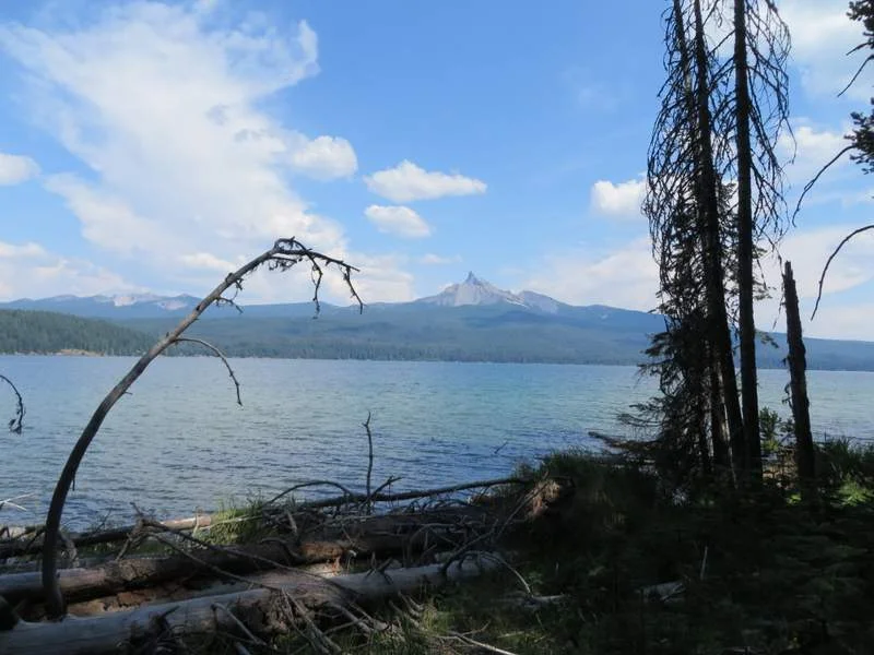 View from the bike trail at Diamond Lake